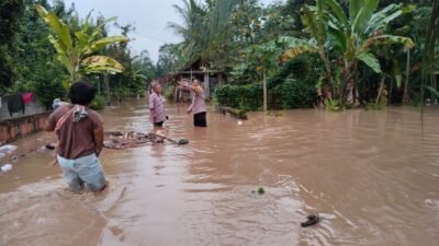 Puluhan Rumah di Tiga Desa Di Pringsewu Terendam Banjir Kiriman Dari Tanggamus