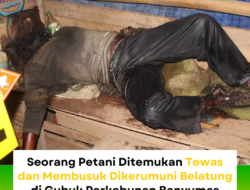 Seorang Petani Ditemukan Tewas dan Membusuk Dikerumuni Belatung di Gubuk Perkebunan Banyumas