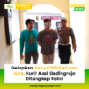 Gelapkan Dana COD Ratusan Juta, Kurir Asal Gadingrejo Ditangkap Polisi