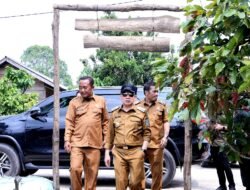 Pj Bupati Pringsewu Tinjau Wisata Calliandra Hills