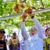 Pj. Gubernur Lampung Dukung Pringsewu Kota Anggur