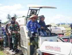 Kabupaten Pringsewu Surplus Beras 43 Ribu Ton 