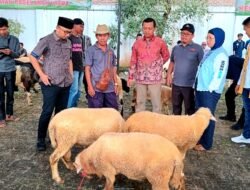 Songsong Idul Adha, Pringsewu Gelar Festival Qurban 2025